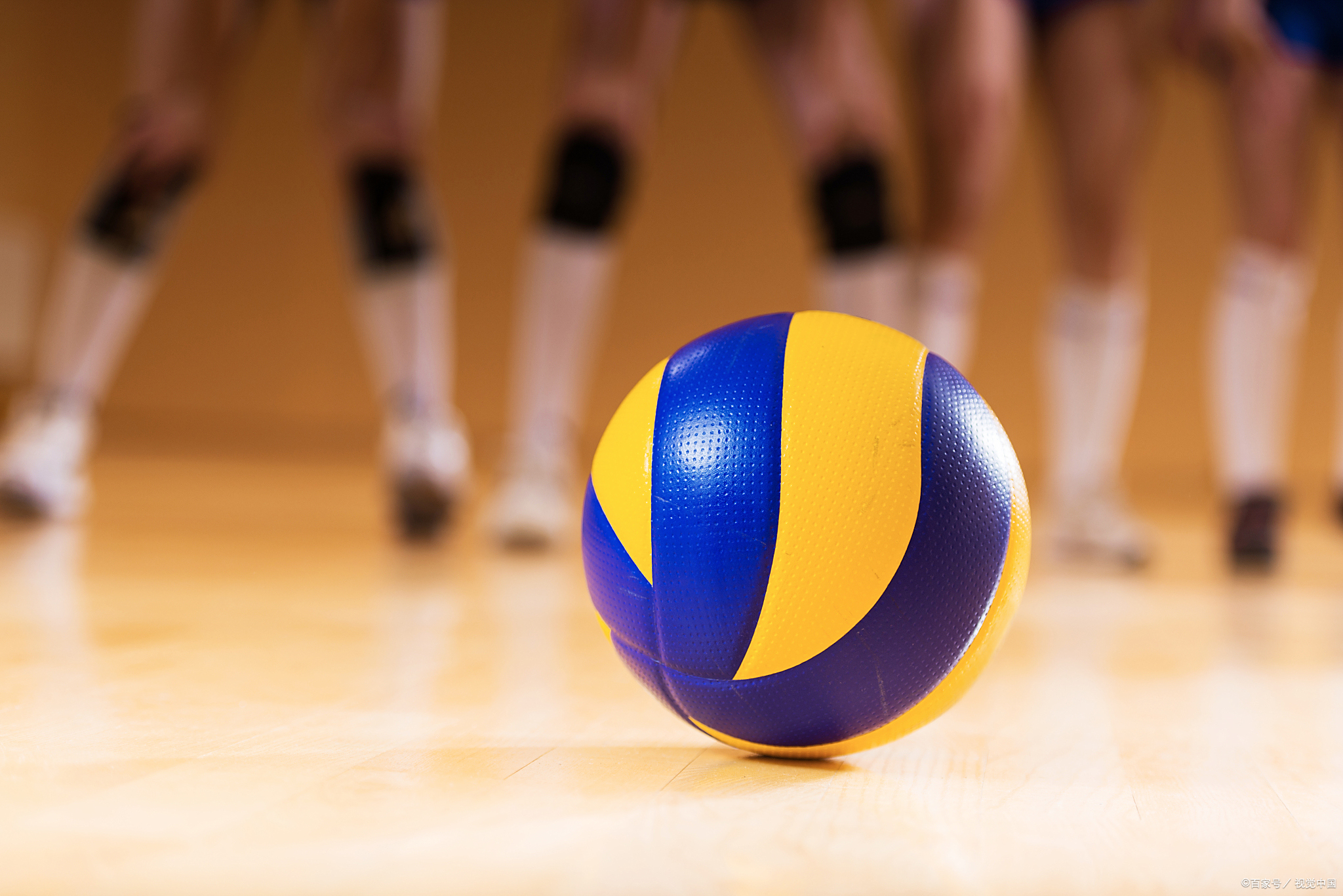 Volleyball Official Fan App Online, Providing Exclusive Player Perspective Replay